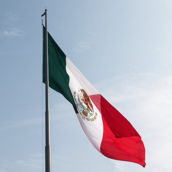 Mexico's Independence Day / Dia de la Independencia de Mexico
